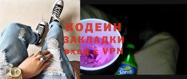 сатива Ростов