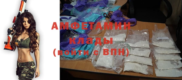 сатива Ростов