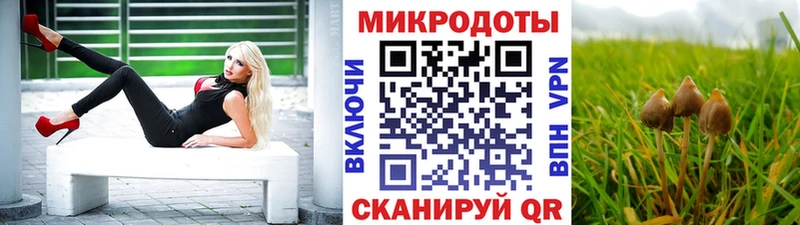 Псилоцибиновые грибы Cubensis  Карачаевск 