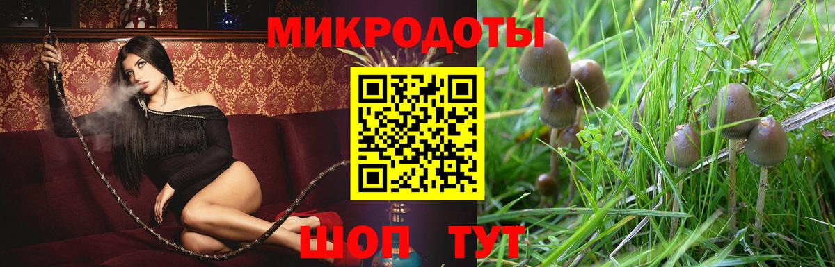 Галлюциногенные грибы Cubensis Карачаевск